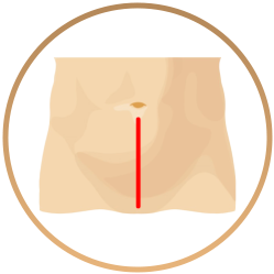davinci body