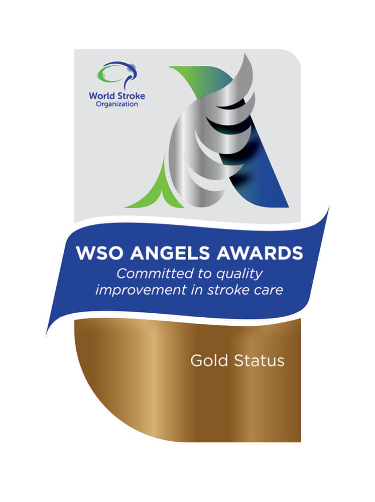 World Stroke Organisation (WSO) Angels Awards